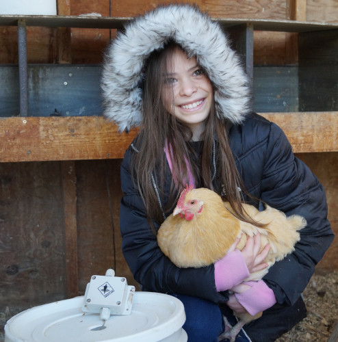 AquaPlumb with VegeHub Monitoring Chicken Water Tank