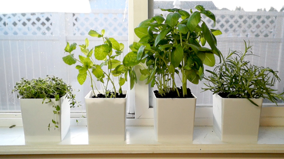 The Ultimate Window Sill Herb Planter