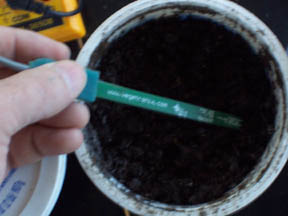 Measuring Soil Sample with a VH400 Soil Moisture Probe.